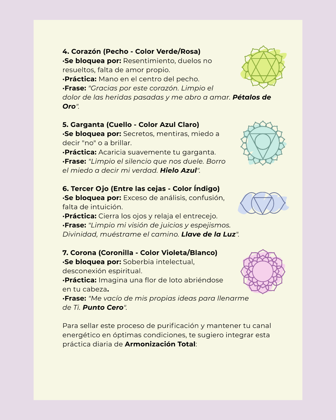 Contenido del cuaderno 1